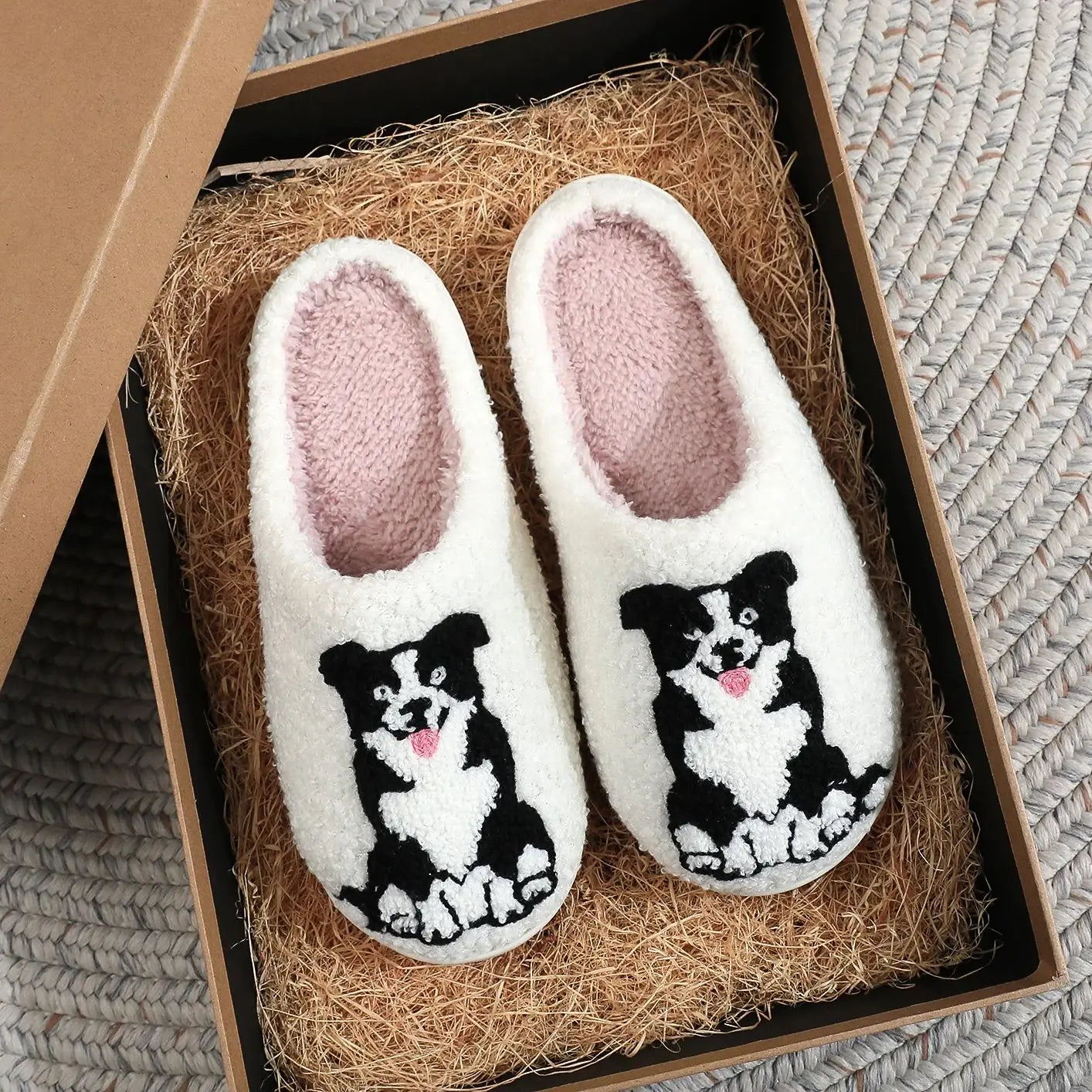 Pantufa Border Collie dog