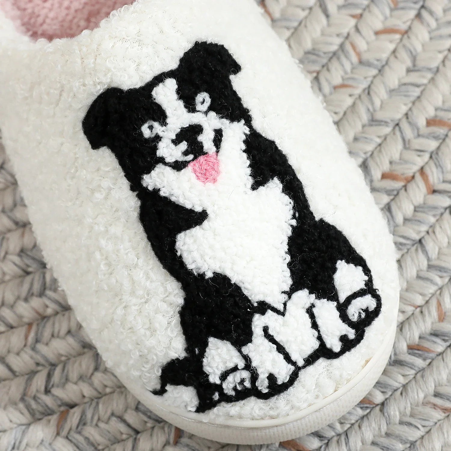 Pantufa Border Collie dog