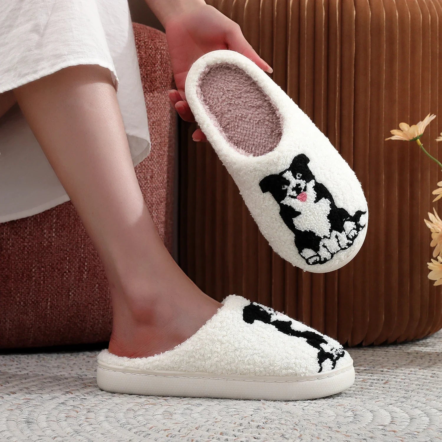Pantufa Border Collie dog