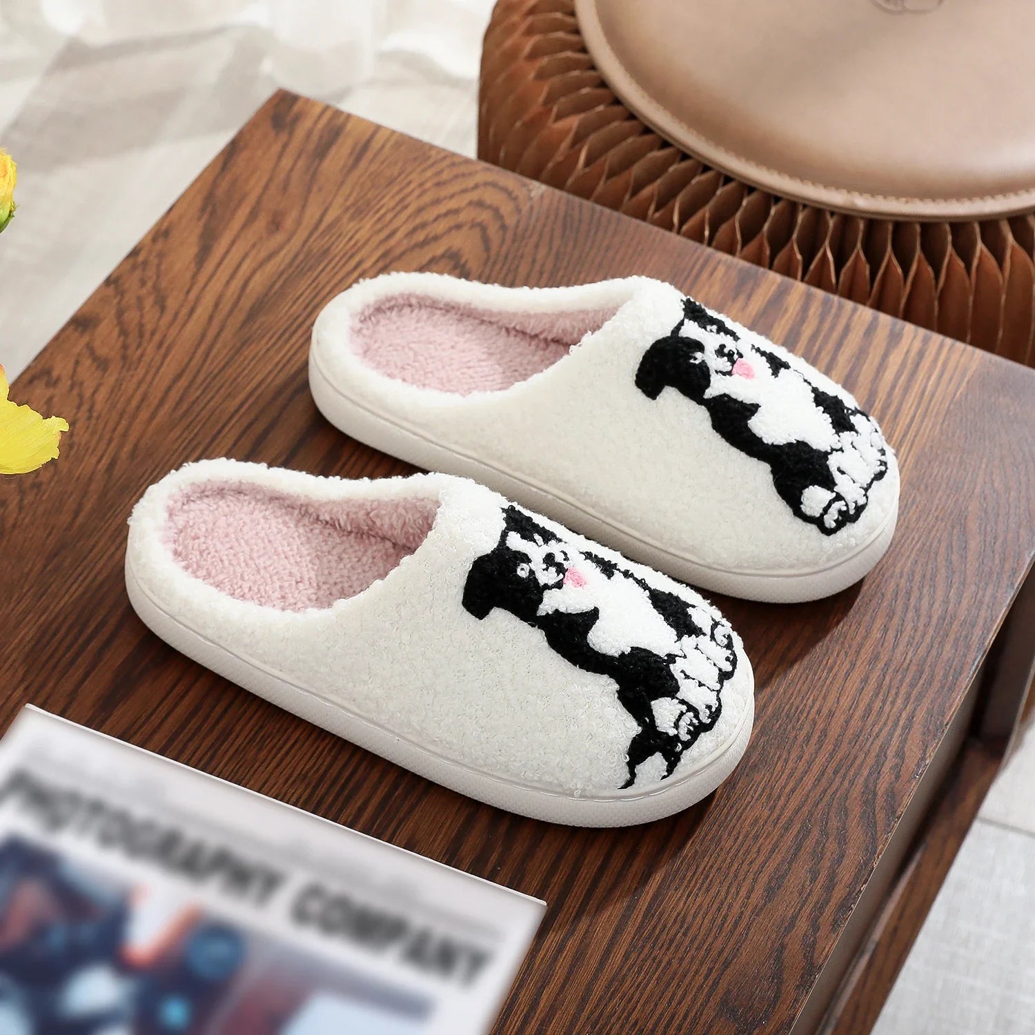 Pantufa Border Collie dog